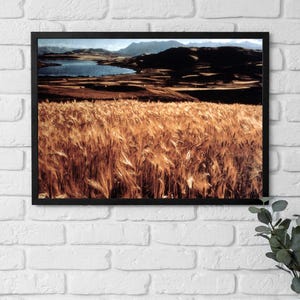 Póster enmarcado de Bolivia, paisaje lacustre con cultivos y montañas, arte de los años 70, campos de trigo, arte mural de viajes para amantes de la agricultura, regalo para ella/él.