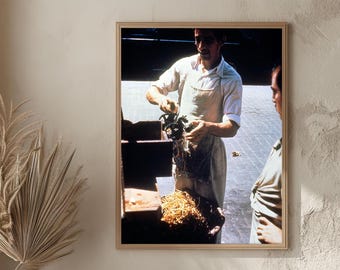 Póster enmarcado Cuba, Pelando patatas en la calle La Habana, Cuba, Arte de los años 60, Escena de mercado cubano, Arte mural de viajes, Decoración de oficina en casa, Amantes del arte