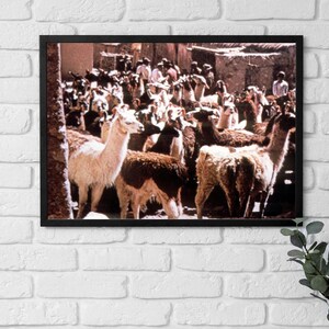 Póster enmarcado de Bolivia, Mercado de llamas, arte mural de los años 70, pueblo andino, arte mural cultural vintage, decoración de oficina, arte mural para amantes de los animales.