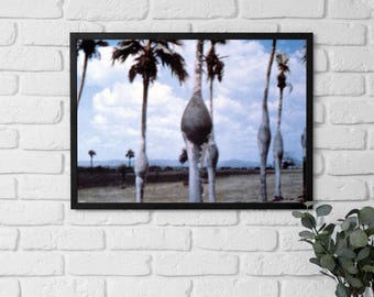 Gerahmte Leinwand Kuba, Einzigartige kubanische Palmen Kunst, zeitlose Wandkunst, die die natürliche Schönheit Kubas einfängt, Trevel Liebhaber Kunst, Geschenk für Sie