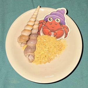 Peut inclure: Un bol en céramique blanche contenant deux coquillages beiges allongés et en spirale, un tas de matière granulaire jaune clair et un autocollant représentant un bernard-l'ermite rouge avec une coquille violette, disposés dans le bol.