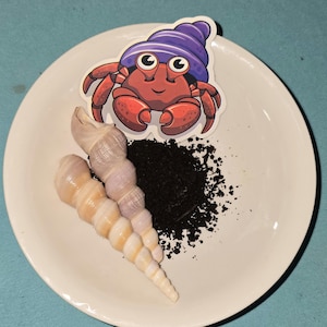 May include: A white plate displays a cartoon hermit crab sticker wearing a purple hat, two spiral seashells, and a pile of black substrate. The crab is red with a smiling face. The seashells are cream and lavender.