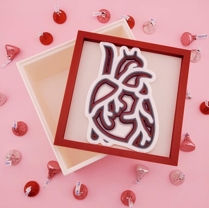 Anatomical Heart Shaped Layered Cardiology Box Framed Wall Art Post ...