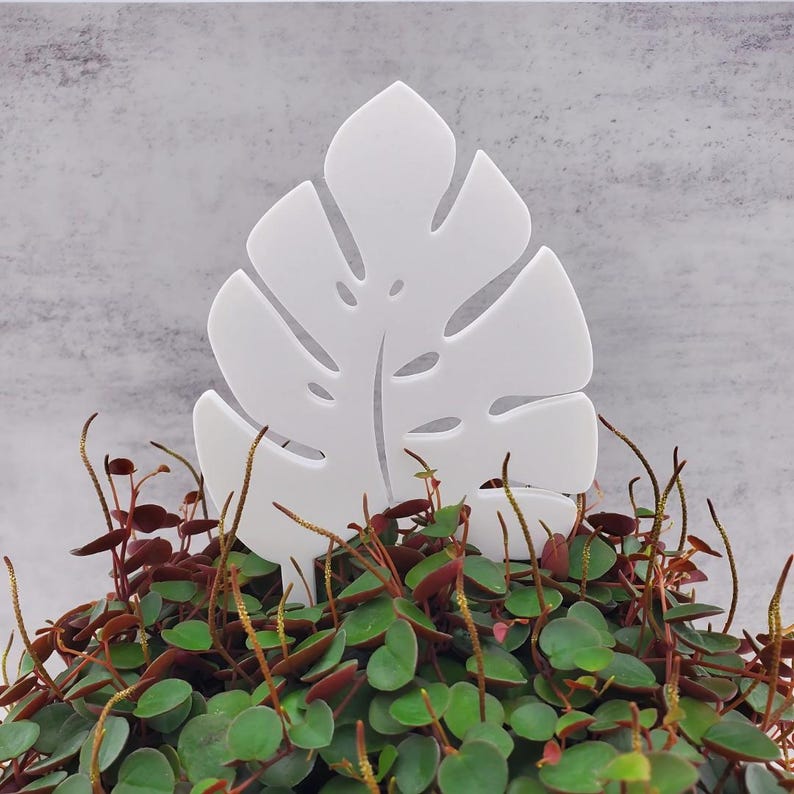 Single leaf monstera plant trellis garden stake in white in a green and red plant.