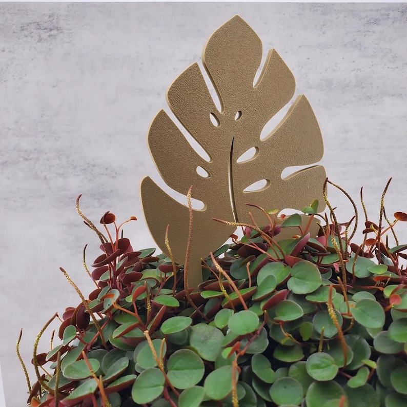 Single leaf monstera plant trellis garden stake in tan in a green and red plant.