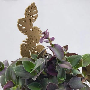 Six leaf monstera plant trellis garden stake in tan in a green and purple plant.