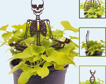 Anatomy Art Potted Plant Trellis Stakes Garden Decoration - Zen Skeleton, DNA Double Helix, Spine, Lungs - For Home or Medical Office