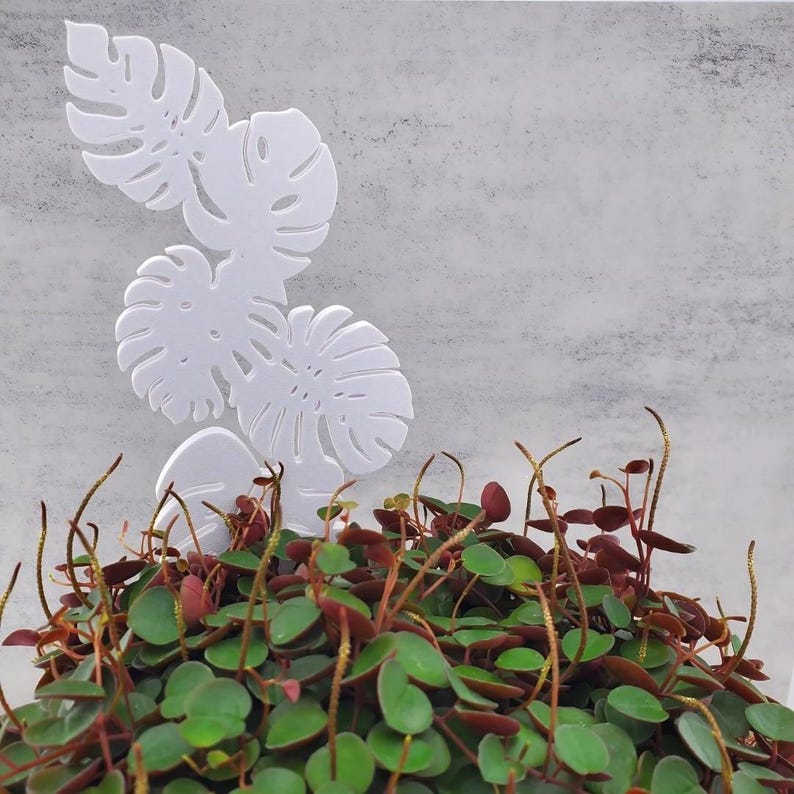 Six leaf monstera plant trellis garden stake in white in a green and red plant.