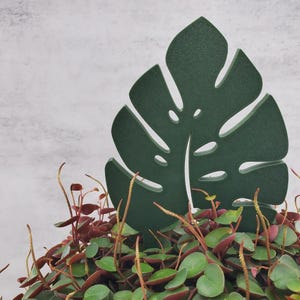 Single leaf monstera plant trellis garden stake in green in a green and red plant.