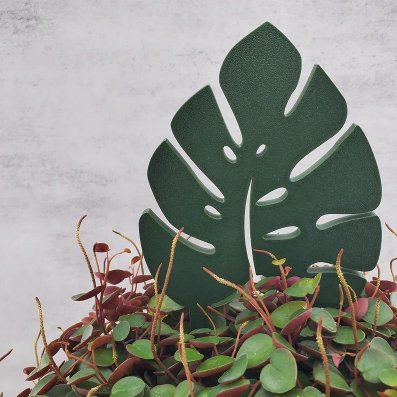 Single leaf monstera plant trellis garden stake in green in a green and red plant.