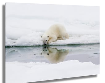 0 Euro Souvenir-Schein „Norge Svalbard Spitsbergen“ – 135x74 Mm, Mit Sicherheitsmerkmalen & Seriennummer
