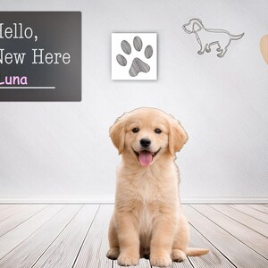 Achtergrond nieuwe puppy, adoptie hond, digitale achtergrond Gotcha Day, achtergrond eenvoudige aankondiging, minimalistische fotoshoot