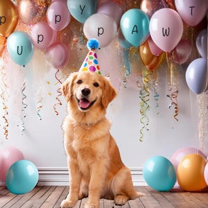 Op de afbeelding: Een golden retriever met een feesthoedje zit voor een muur versierd met kleurrijke ballonnen en slingers. De ballonnen spellen "Happy" in goud, roze en blauw. De hond lacht.