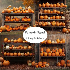 Herfstpompoenstandaard achtergrondbundel, digitale achtergronden voor Halloween, leuke herfstfotografie