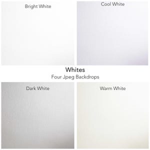 Puede incluir: Imagen de cuatro fondos blancos con las etiquetas "Blanco brillante", "Blanco frío", "Blanco oscuro" y "Blanco cálido". El texto dice "Blancos" y "Cuatro fondos Jpeg".
