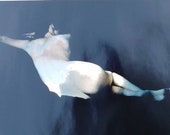 Vintage Surreal Sky and Clouds NUDE FEMALE Matted Photograph Titled quot In The Sky quot by Wolf Poltl measuring 20 quot x 16 quot Signed and Numbered