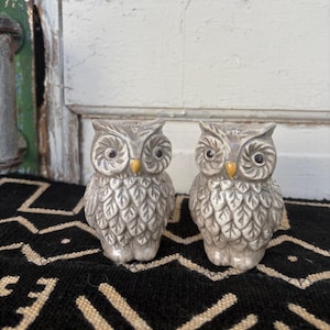 Vintage Ceramic Owl SALT & PEPPER Shakers measuring 3.5&quot; x 2.5&quot; each ~ Owl Lover Gift ~ Cabin Home Decor ~ Nature Home Decor ~ Boho Decor ~