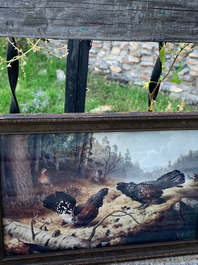 Antique Framed Fighting Grouse Print measuring 11.25 x 7.75 ~ Hunters Home Decor ~ Library Home Decor ~ Man Cave Decor ~ Lodge Cabin Decor