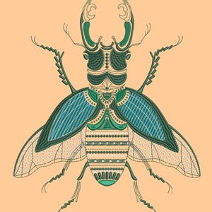 May include: An embroidered beetle design in teal and green hues. The insect's wings and body are adorned with detailed patterns. The background is a solid peach colour, providing a contrast to the insect's design.