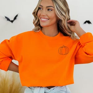 Minimalist Pumpkin Shirt or Sweatshirt | Pumpkin Crewneck | Cute Fall T-Shirt | Simple Fall Style | Gifts for Her | Pumpkin | Fall Vibes Tee