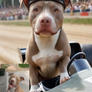 Funny Racing Dog or Cat Portrait – Custom Digital Pet Artwork from Photo – Personalized Pet Wall Art – Gift for Pet Owners & Lovers