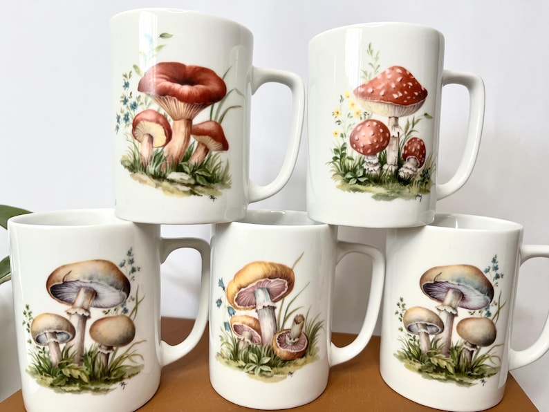 Pu&ograve; includere: Una collezione di sei tazze in ceramica bianca, ognuna decorata con un'illustrazione ad acquerello di funghi diversi. I disegni dei funghi presentano vari colori, tra cui rosso, marrone e beige, su uno sfondo di erba verde e piccoli fiori blu.