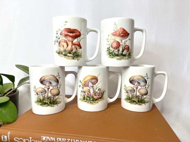 Pu&ograve; includere: Sei tazze in ceramica bianca con illustrazioni di funghi. Le tazze presentano diverse variet&agrave; di funghi nei toni del rosso, marrone, giallo e beige, con accenti di erba verde e fiori blu. Ogni tazza ha un manico curvo.