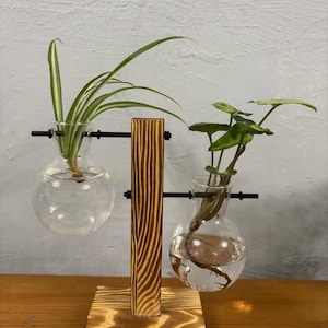 Transparente Blumenvase mit Holzständer, Glas-Übertopf für den Schreibtisch, Hydrokulturpflanzen, Café-Raumdekor