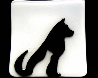 Cat In Dog Dish 2