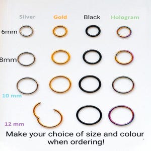 Anel de segmento articulado de aço inoxidável 316L/Aro Daith/Aro Conch/Brinco de cartilagem/Brincos minimalistas/Aro Helix/Aro Tragus