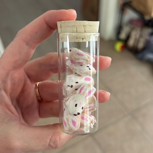 May include: A clear glass vial with a cork stopper, containing small fabric bunny figures. The bunnies are white with pink accents and black facial details. The vial is held in a hand.