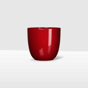 May include: A vibrant, red ceramic plant pot with a rounded form. The pot has a smooth, glossy finish and a wide opening. Suitable for indoor or outdoor use, it can accommodate a variety of plants.