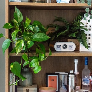 May include: A white shelf unit with a green leafy plant, a white clock with black numbers that reads "TUE 27", and a variety of other items on the shelves.