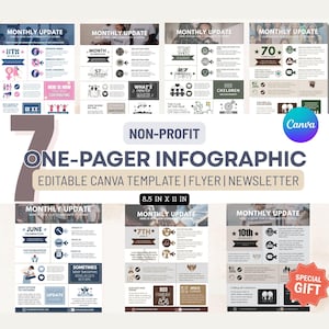 NonProfit One Pager INFOGRAPHIC Editable Canva Template Impact Annual Report Summary Non-profit Newsletter Template Social Media Bundle