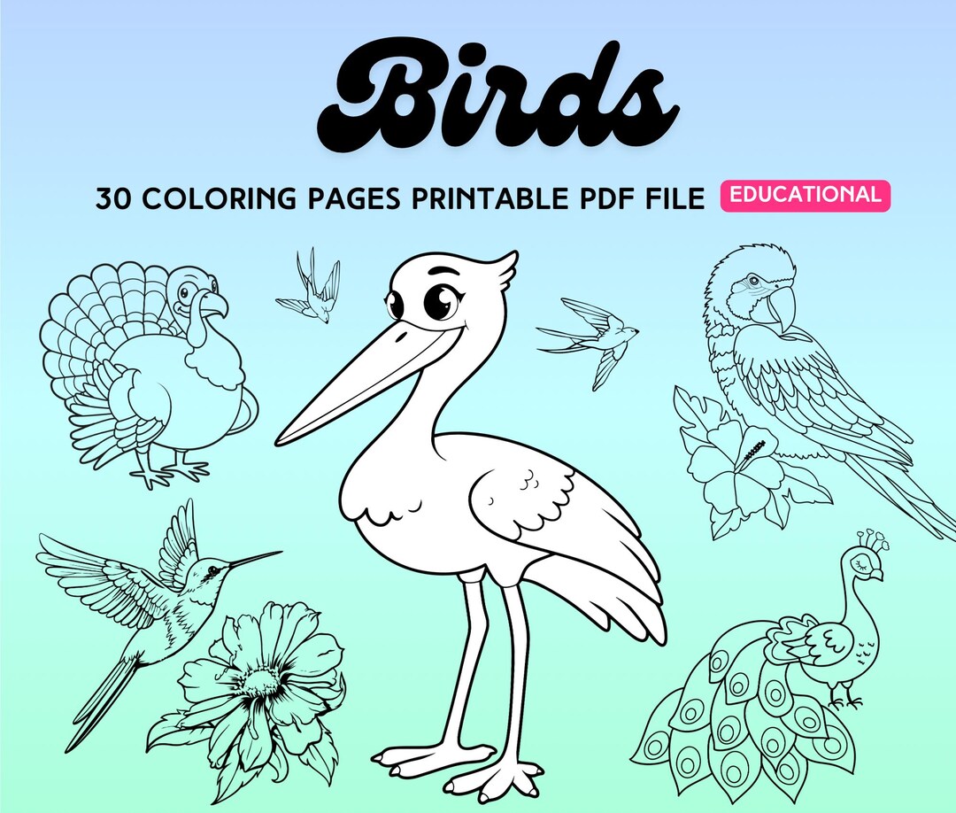 30 Bird Coloring Pages for Kids | Printable PDF | Educational Birds Colouring Book Sheets for ...