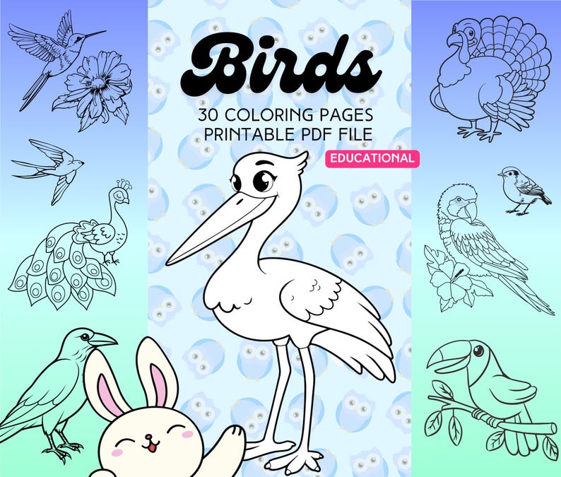 Bird Coloring Pages PDF Printable for Kids and Adults 30 Birds Coloring Book Pages Colouring ...
