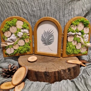 Marco vegetal, musgo estabilizado, madera.