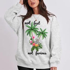 Funny Sloth Shirt | Not Fast Not Furious T-Shirt  |  Aesthetic Tee png | Sarcastic Wildlife Tee | Ironic Animal Shirt | Vintage Style Tee