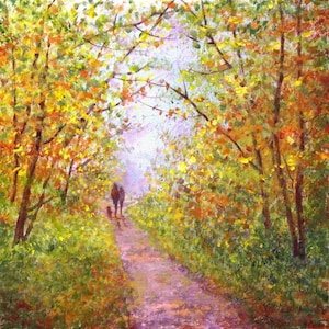 Tarjeta de felicitación de árboles del bosque otoñal ~ Un paseo de otoño