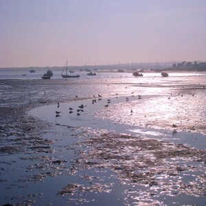 Barche con la bassa marea a Mudeford Quay ~ Biglietto d'auguri fotografico