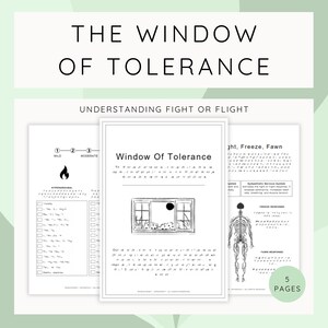 Fenster der Toleranz Therapie Arbeitsblätter: Werkzeuge der Emotionsregulierung (PDF-Download A4/A5