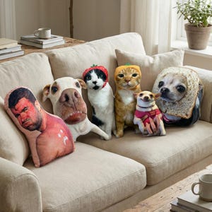 Almohada fea personalizada para mascotas, almohada de gato - Almohada fea personalizada en 3D para mascotas a partir de una foto - Almohada navideña de peluche con forma de mascota. Animales de peluche feos.