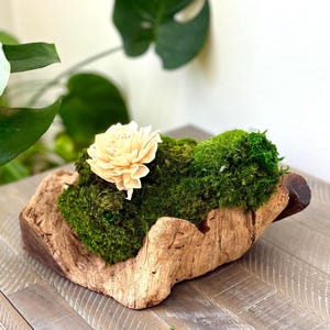 Moss Centerpiece | No-Maintenance Natural Decor | Preserved Moss Table Arrangement | Indoor Greenery | Nature-Inspired Home Decor