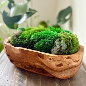 Moss Bowl Centerpiece | Wood Bowl with Preserved Moss | Natural Home Decor | Zero Maintenance Plant