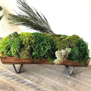 Moss Wood Centerpiece | Indoor Plant | Tabletop Moss Arrangement | Moss Design | Bali Inspired Home Decor | Wood Bowl | Moss Home Decor