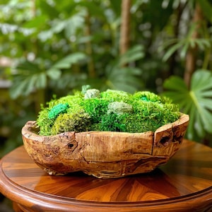 Preserved Moss Centerpiece | Handcrafted Wooden Bowl, No Maintenance