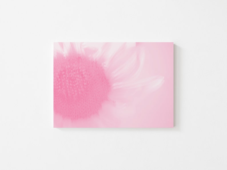 Pink Wall Art PrintsFlower PhotographyPastel Wall DecorSunflower PrintPink ArtGifts for HerBoho Printable Wall ArtAbstract Flower Art image 1