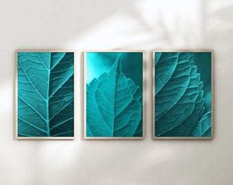 Set of 3 Leaf Prints~Abstract Nature Photo~Botanical Wall Art~Modern Wall Art~Leaf Close Up~Fine Art Prints~Greenery Prints~Leaf Photography