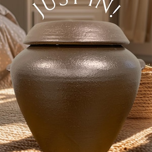 May include: A dark brown ceramic jar with a matching lid and a rounded body. The text "JUST IN!" is printed in white above the jar. The surface of the jar has a textured, matte finish with small handles on the sides and a wide, tapered base.
