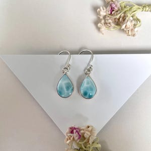 May include: A pair of teardrop-shaped earrings with a light blue stone and a silver-colored metal frame. The earrings are displayed on a white surface with a geometric design, and a few dried flowers are in the background.